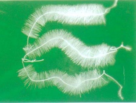 點(diǎn)擊查看詳細(xì)信息<br>標(biāo)題：TL型立體彈性填料 閱讀次數(shù)：6121